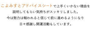 アドバイスシート